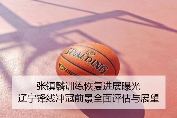 张镇麟训练恢复进展曝光 辽宁锋线冲冠前景全面评估与展望