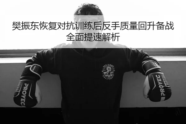 樊振东恢复对抗训练后反手质量回升备战全面提速解析